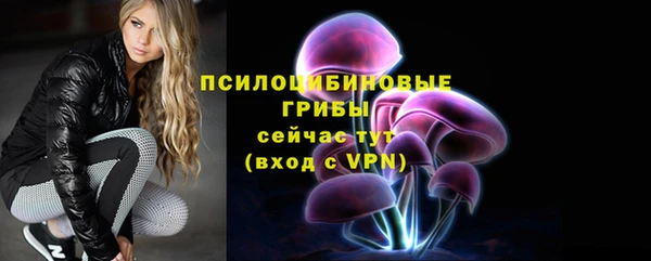 шишки Алзамай