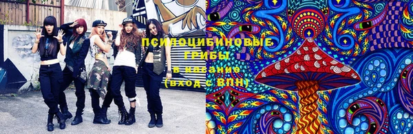 ПСИЛОЦИБИНОВЫЕ ГРИБЫ Абинск